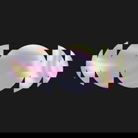 Fluidity Money - Wrap, Transact, Earn