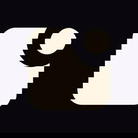Fraction AI